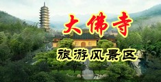 女人日逼视频大片中国浙江-新昌大佛寺旅游风景区